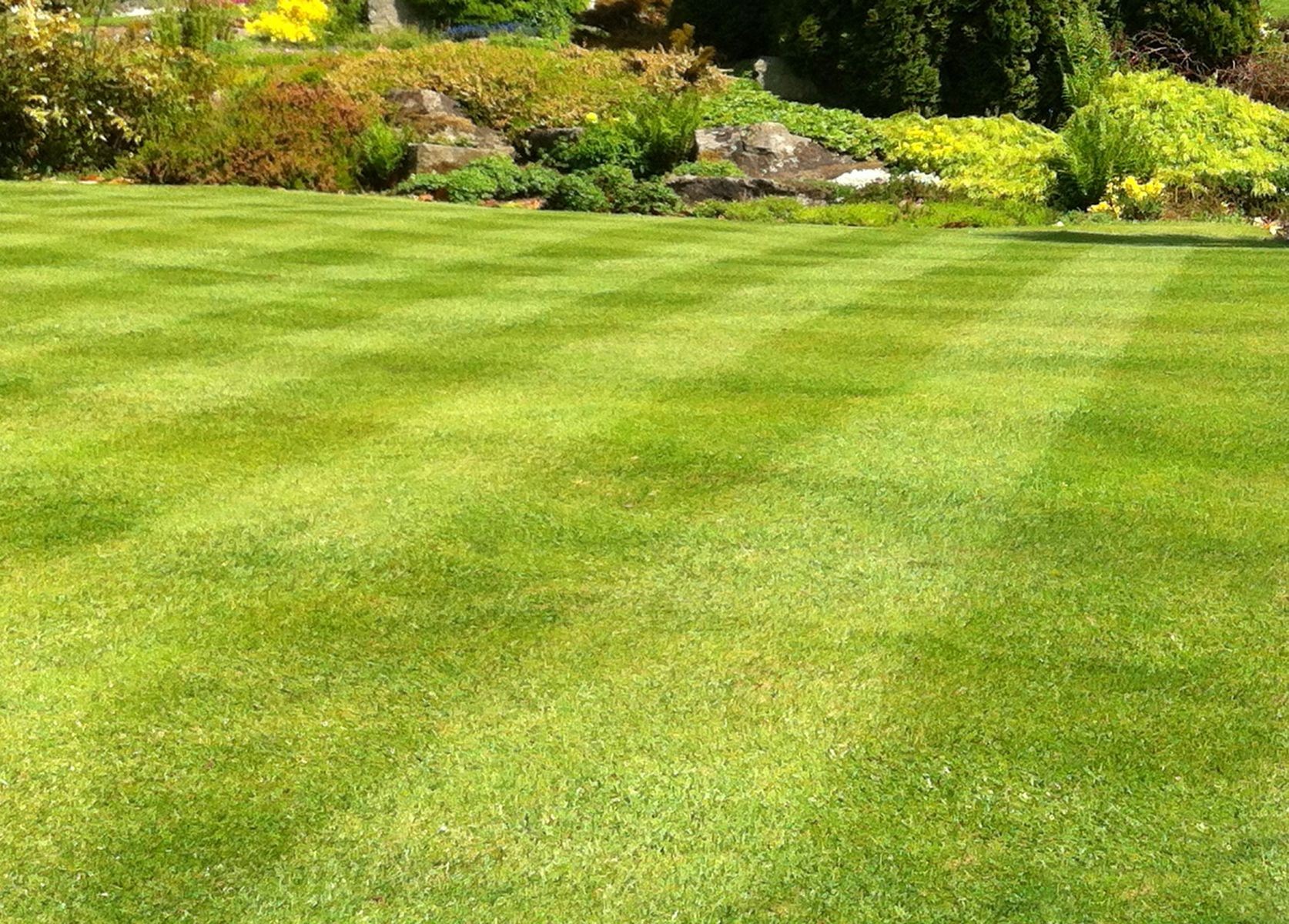 Image of garden lawn stripes, green grass turf, weed-and-feed fertiliser